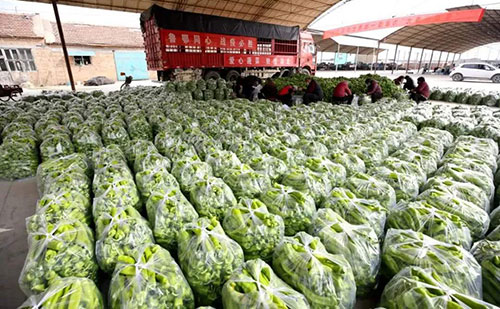 我是湖南長(zhǎng)沙蔬菜批發(fā)市場(chǎng)，買多少錢的農(nóng)藥殘留檢測(cè)儀合適？
