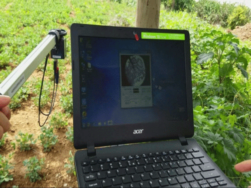 植物冠層圖像分析儀可以測量什么？